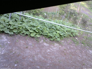 長野県菅平高原 ゆたか山荘 駐車場 2026/05/15 17:15