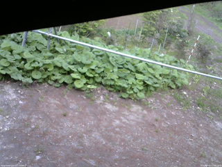 長野県菅平高原 ゆたか山荘 駐車場 2026/05/15 17:45