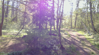 長野県菅平高原 ゆたか山荘 坂上 2026/05/15 07:00