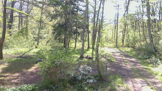 長野県菅平高原 ゆたか山荘 坂上 2026/05/15 08:00