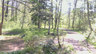 長野県菅平高原 ゆたか山荘 坂上 2026/05/15 09:00