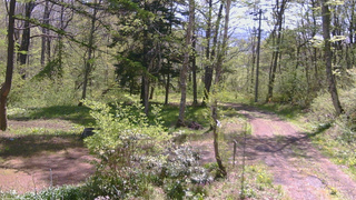 長野県菅平高原 ゆたか山荘 坂上 2026/05/15 09:45