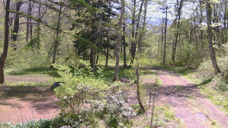 長野県菅平高原 ゆたか山荘 坂上 2026/05/15 10:00
