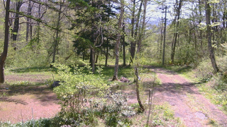 長野県菅平高原 ゆたか山荘 坂上 2026/05/15 10:15