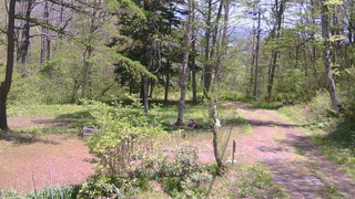 長野県菅平高原 ゆたか山荘 坂上 2026/05/15 11:45