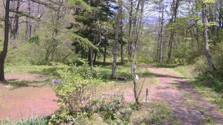 長野県菅平高原 ゆたか山荘 坂上 2026/05/15 12:15