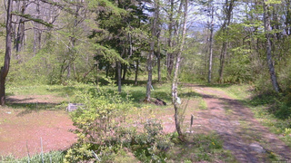 長野県菅平高原 ゆたか山荘 坂上 2026/05/15 12:45