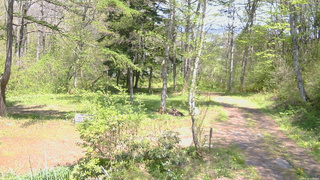 長野県菅平高原 ゆたか山荘 坂上 2026/05/15 13:00