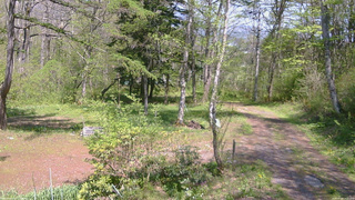 長野県菅平高原 ゆたか山荘 坂上 2026/05/15 13:15