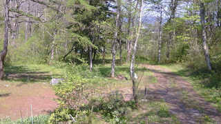 長野県菅平高原 ゆたか山荘 坂上 2026/05/15 13:30