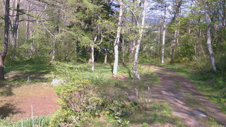 長野県菅平高原 ゆたか山荘 坂上 2026/05/15 15:30