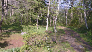 長野県菅平高原 ゆたか山荘 坂上 2026/05/15 15:45