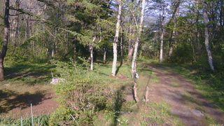 長野県菅平高原 ゆたか山荘 坂上 2026/05/15 16:30