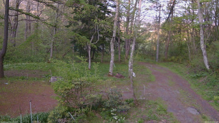 長野県菅平高原 ゆたか山荘 坂上 2026/05/15 17:45