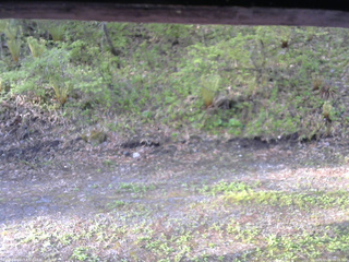 長野県菅平高原 ゆたか山荘 東側(坂下) 2026/05/16 06:15