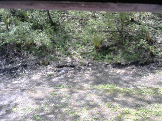 長野県菅平高原 ゆたか山荘 東側(坂下) 2026/05/16 09:30