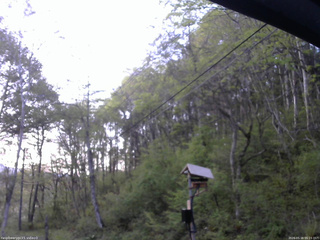 長野県菅平高原 ゆたか山荘 温度計 2026/05/16 05:15