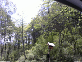 長野県菅平高原 ゆたか山荘 温度計 2026/05/16 10:00