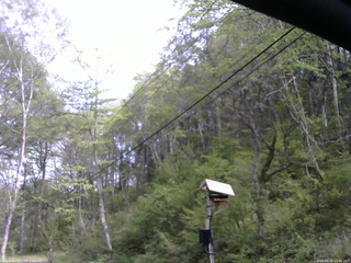 長野県菅平高原 ゆたか山荘 温度計 2026/05/16 13:45