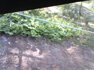長野県菅平高原 ゆたか山荘 駐車場 2026/05/16 06:15