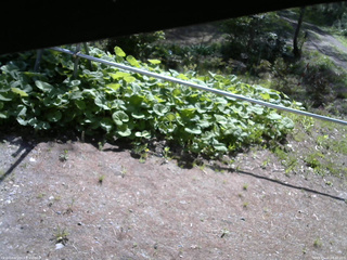 長野県菅平高原 ゆたか山荘 駐車場 2026/05/16 08:30