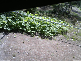 長野県菅平高原 ゆたか山荘 駐車場 2026/05/16 08:45