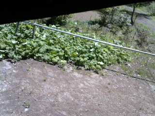 長野県菅平高原 ゆたか山荘 駐車場 2026/05/16 10:30