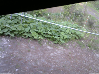 長野県菅平高原 ゆたか山荘 駐車場 2026/05/16 17:30