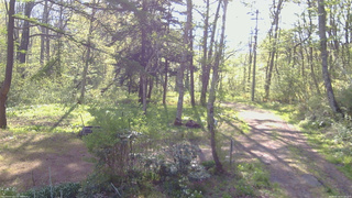 長野県菅平高原 ゆたか山荘 坂上 2026/05/16 07:15
