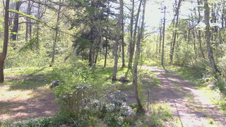 長野県菅平高原 ゆたか山荘 坂上 2026/05/16 08:15