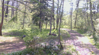長野県菅平高原 ゆたか山荘 坂上 2026/05/16 08:30