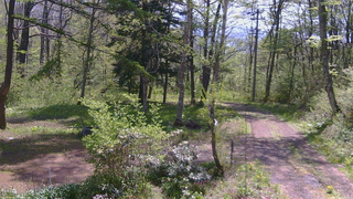 長野県菅平高原 ゆたか山荘 坂上 2026/05/16 09:30