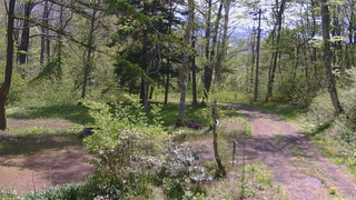 長野県菅平高原 ゆたか山荘 坂上 2026/05/16 09:45