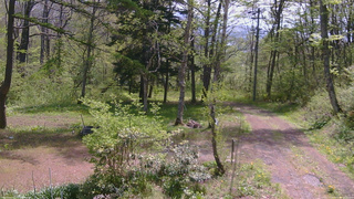 長野県菅平高原 ゆたか山荘 坂上 2026/05/16 10:15