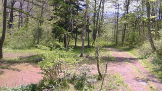 長野県菅平高原 ゆたか山荘 坂上 2026/05/16 10:45