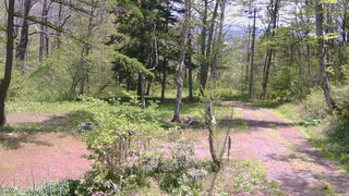 長野県菅平高原 ゆたか山荘 坂上 2026/05/16 11:15