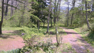 長野県菅平高原 ゆたか山荘 坂上 2026/05/16 11:30