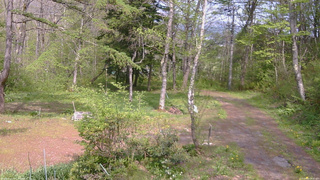 長野県菅平高原 ゆたか山荘 坂上 2026/05/16 14:00