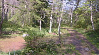 長野県菅平高原 ゆたか山荘 坂上 2026/05/16 14:45