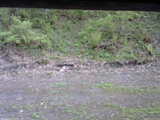 長野県菅平高原 ゆたか山荘 東側(坂下) 2026/05/17 17:15
