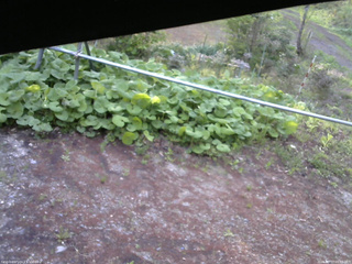長野県菅平高原 ゆたか山荘 駐車場 2026/05/17 05:30