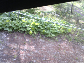 長野県菅平高原 ゆたか山荘 駐車場 2026/05/17 06:15