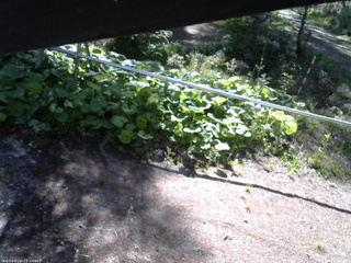 長野県菅平高原 ゆたか山荘 駐車場 2026/05/17 07:45