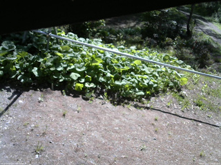 長野県菅平高原 ゆたか山荘 駐車場 2026/05/17 08:30