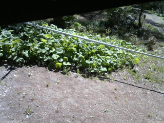長野県菅平高原 ゆたか山荘 駐車場 2026/05/17 08:45