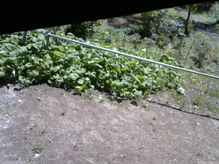 長野県菅平高原 ゆたか山荘 駐車場 2026/05/17 09:45