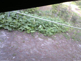 長野県菅平高原 ゆたか山荘 駐車場 2026/05/17 17:00