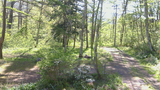 長野県菅平高原 ゆたか山荘 坂上 2026/05/17 08:00