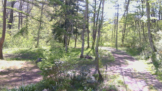 長野県菅平高原 ゆたか山荘 坂上 2026/05/17 08:30