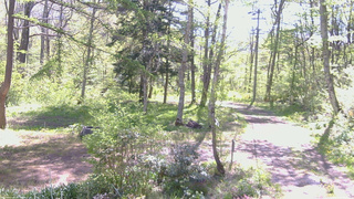長野県菅平高原 ゆたか山荘 坂上 2026/05/17 09:00